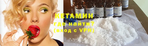крисы Аркадак