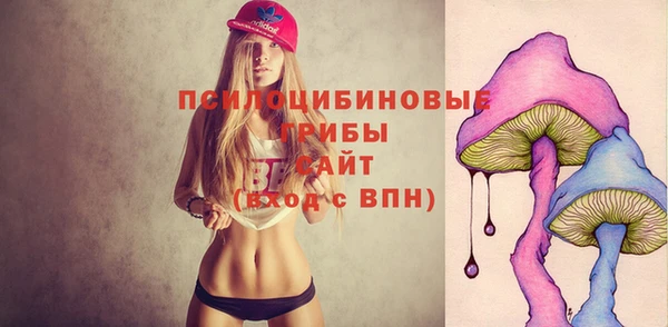 крисы Аркадак