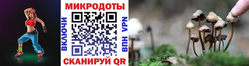 купить   Рыбинск  Галлюциногенные грибы Magic Shrooms 